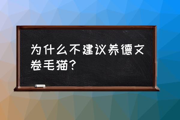 德文冬天能带出去么 为什么不建议养德文卷毛猫？