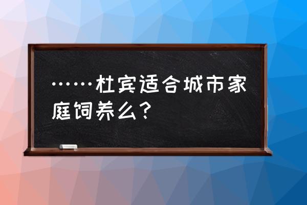 杜宾犬叫怎么办 ……杜宾适合城市家庭饲养么？