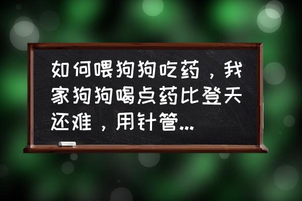 狗狗不吃药有什么好办法 如何喂狗狗吃药，我家狗狗喝点药比登天还难，用针管喂它可以吗？