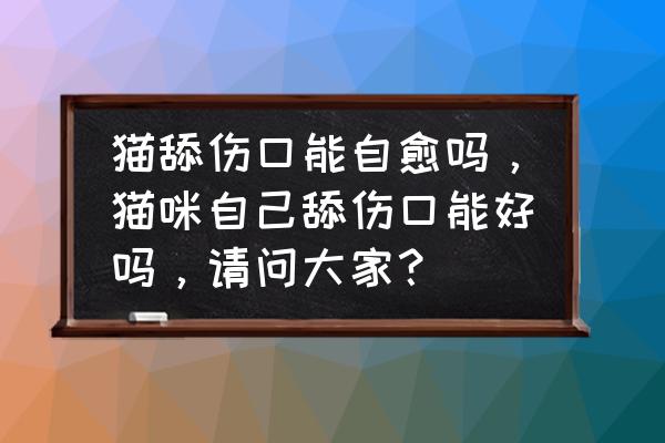 伤口愈合心里的伤能自愈吗 猫舔伤口能自愈吗，猫咪自己舔伤口能好吗，请问大家？