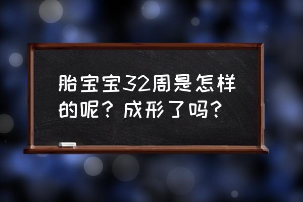 怀孕32周宝宝主要发育什么 胎宝宝32周是怎样的呢？成形了吗？