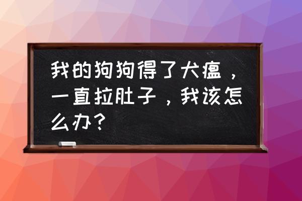 狗狗得犬瘟热不怎么吃饭了怎么办 我的狗狗得了犬瘟，一直拉肚子，我该怎么办？