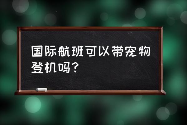 带狗出国旅游注意事项 国际航班可以带宠物登机吗？