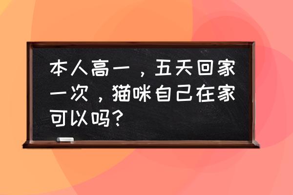 猫老是去我家该怎么办 本人高一，五天回家一次，猫咪自己在家可以吗？