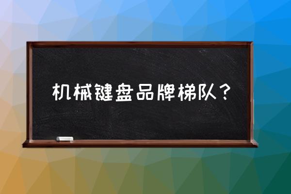 雷柏机械键盘v500pro怎么样 机械键盘品牌梯队？