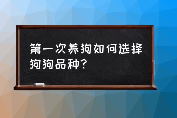 购买宠物狗注意事项 第一次养狗如何选择狗狗品种？