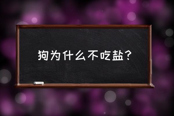 狗狗一般多大可以吃盐 狗为什么不吃盐？