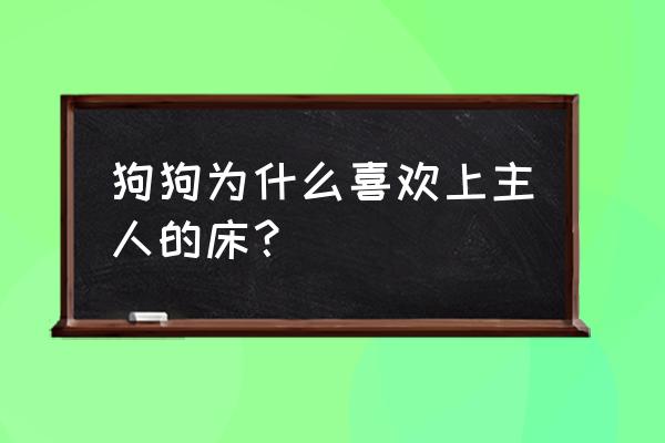 狗狗为什么特别喜欢婴儿 狗狗为什么喜欢上主人的床？