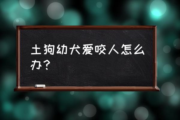 小型宠物狗一般会咬人吗 土狗幼犬爱咬人怎么办？