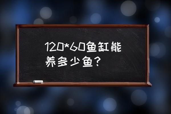 锦鲤60缸长得大吗 120*60鱼缸能养多少鱼？