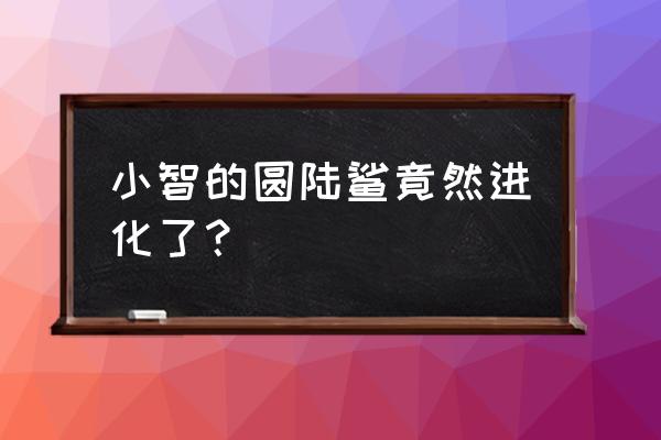 小智的十大最强精灵 小智的圆陆鲨竟然进化了？