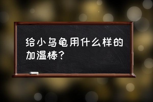 新买的巴西苗子怎么养才能养熟 给小乌龟用什么样的加温棒？