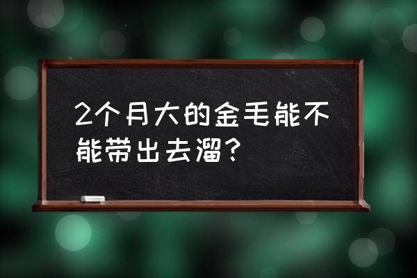 两个月的金毛早晚各喂一次行吗 2个月大的金毛能不能带出去溜？