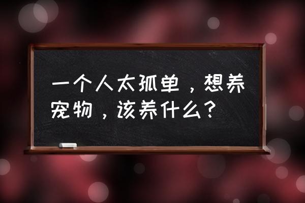 怎样才能让金丝熊信任你 一个人太孤单，想养宠物，该养什么？