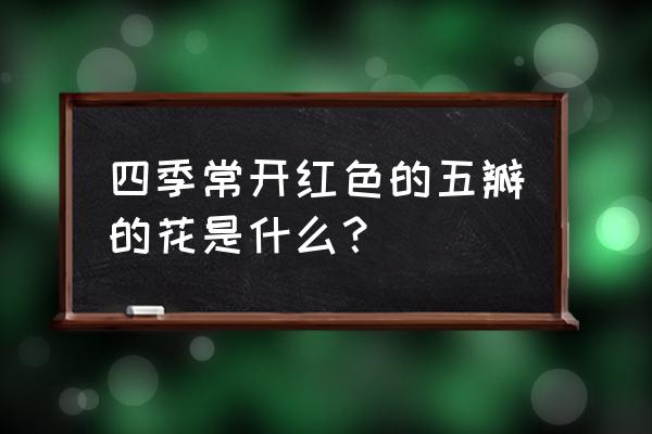 手工五瓣花朵制作方法 四季常开红色的五瓣的花是什么？