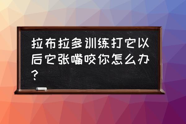 怎样训练狗狗不张嘴咬人玩 拉布拉多训练打它以后它张嘴咬你怎么办？