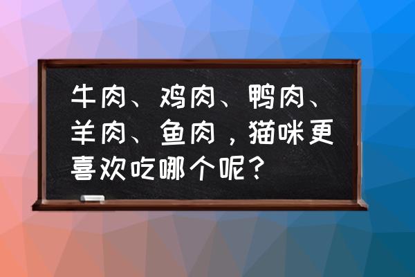 猫咪室外猫舍怎么搭建 牛肉、鸡肉、鸭肉、羊肉、鱼肉，猫咪更喜欢吃哪个呢？