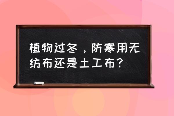 冬天防寒护理五大部位 植物过冬，防寒用无纺布还是土工布？