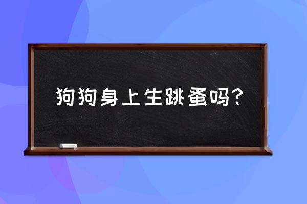 狗会有跳蚤 狗狗身上生跳蚤吗？