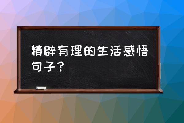 生活中的六句感悟 精辟有理的生活感悟句子？