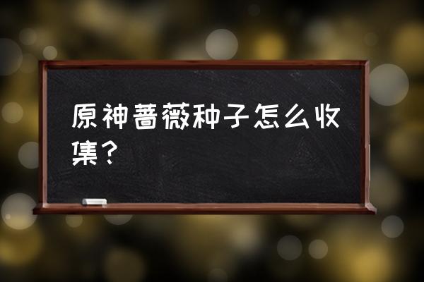 原神取得镇物位置在哪 原神蔷薇种子怎么收集？