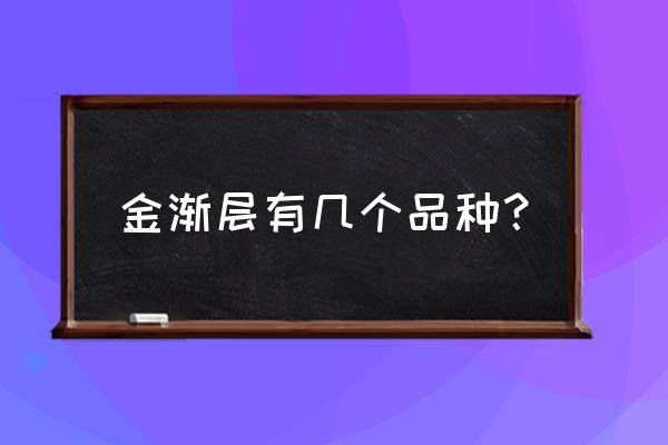 英短的品种大全 金渐层有几个品种？