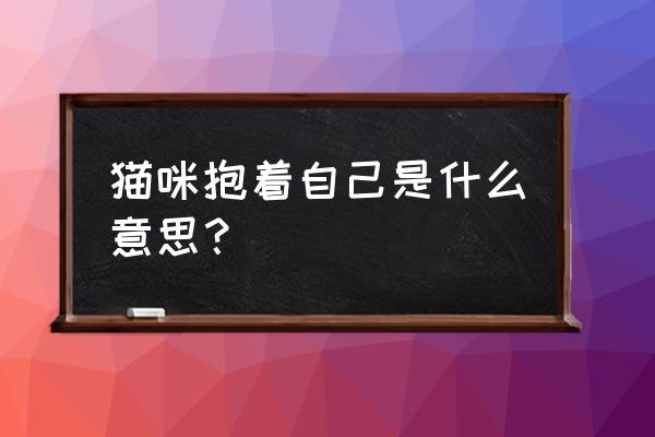 猫咪喜欢主人的三个表现 猫咪抱着自己是什么意思？