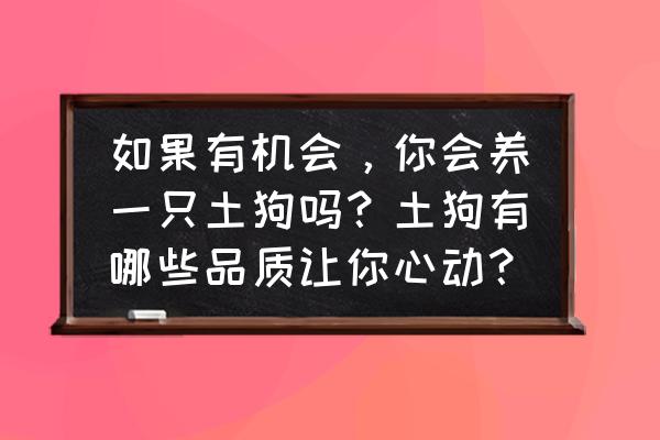 成年杜高犬调皮怎么办才好 如果有机会，你会养一只土狗吗？土狗有哪些品质让你心动？