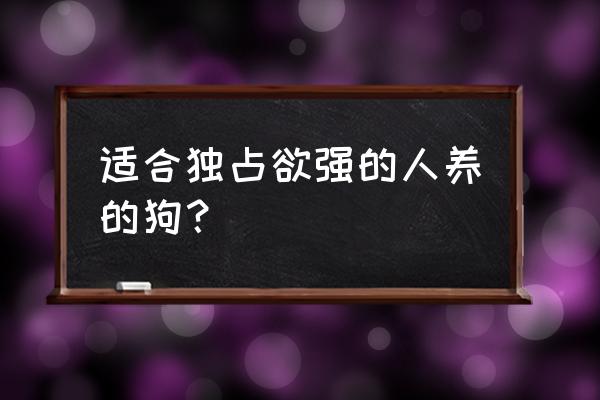 哪种松狮最好养 适合独占欲强的人养的狗？