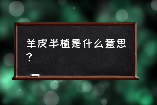 国内山羊皮与国外山羊皮的区别 羊皮半植是什么意思？