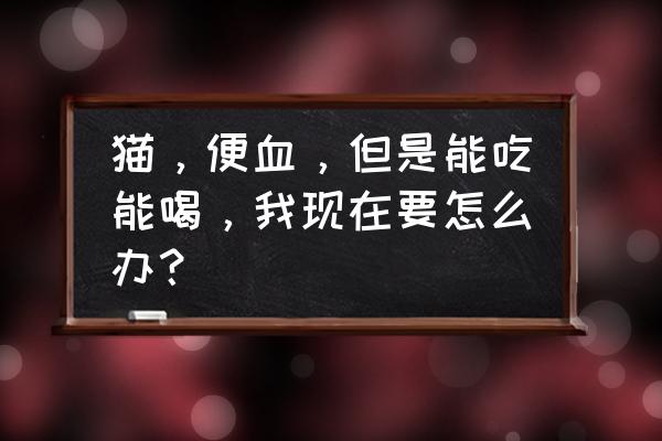 猫便血解决办法 猫，便血，但是能吃能喝，我现在要怎么办？