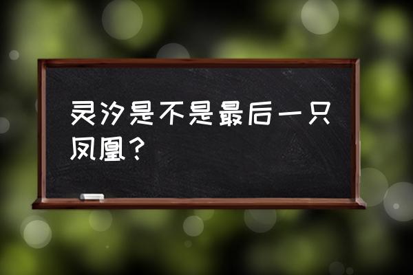 灵汐真身为什么是凤凰 灵汐是不是最后一只凤凰？