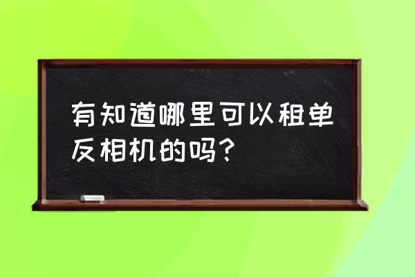 相机出租给哪个平台好 有知道哪里可以租单反相机的吗？