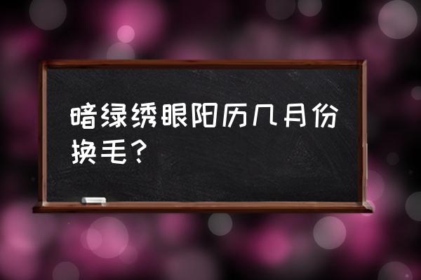 正确的给绣眼鸟日常护理 暗绿绣眼阳历几月份换毛？