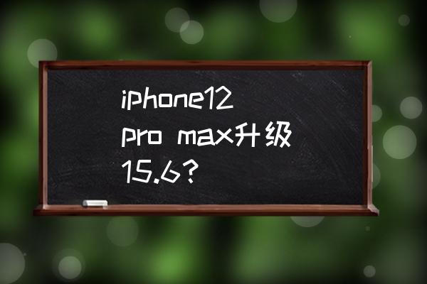 苹果12promax文件描述如何显示 iphone12 pro max升级15.6？
