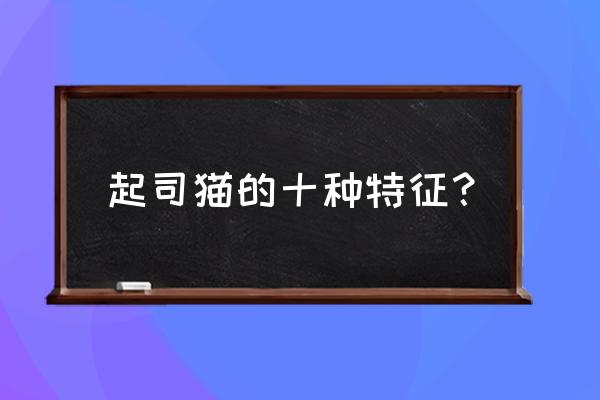 布偶猫两个月怎么看品相 起司猫的十种特征？