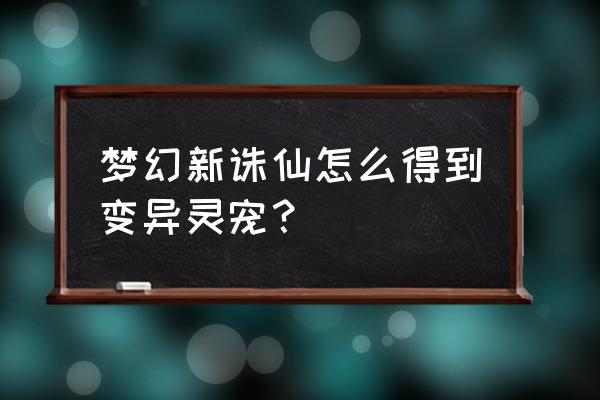 诛仙手游法宝洗练教程攻略 梦幻新诛仙怎么得到变异灵宠？