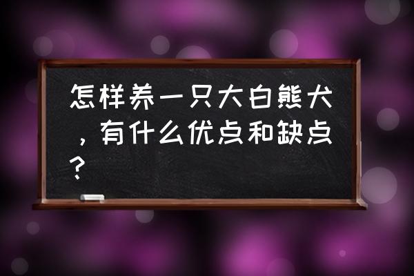 大白熊犬价格多少钱一只 怎样养一只大白熊犬，有什么优点和缺点？