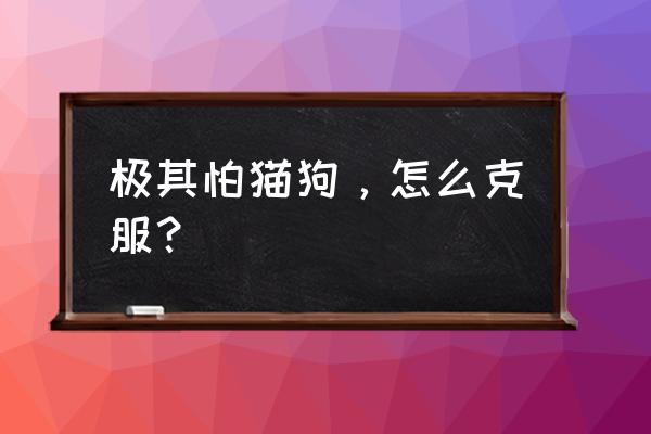 怎么防止自己不怕狗 极其怕猫狗，怎么克服？