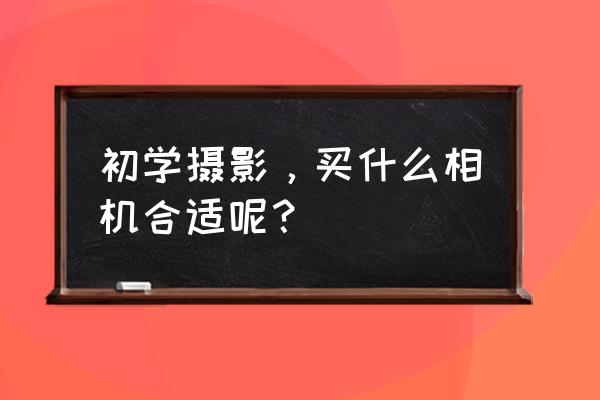 新手学摄影应该怎么买相机 初学摄影，买什么相机合适呢？