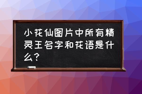 小花仙所有精灵图鉴 小花仙图片中所有精灵王名字和花语是什么？