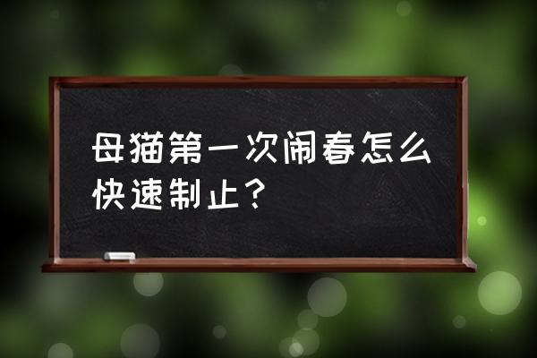 六个月母猫发了情如何处理 母猫第一次闹春怎么快速制止？