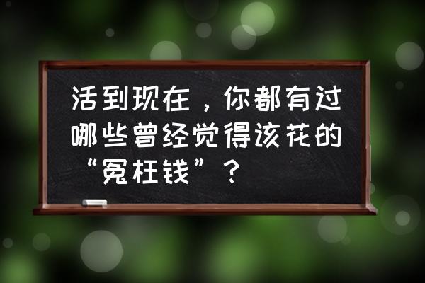 养猫一共还要花多少钱呢 活到现在，你都有过哪些曾经觉得该花的“冤枉钱”？