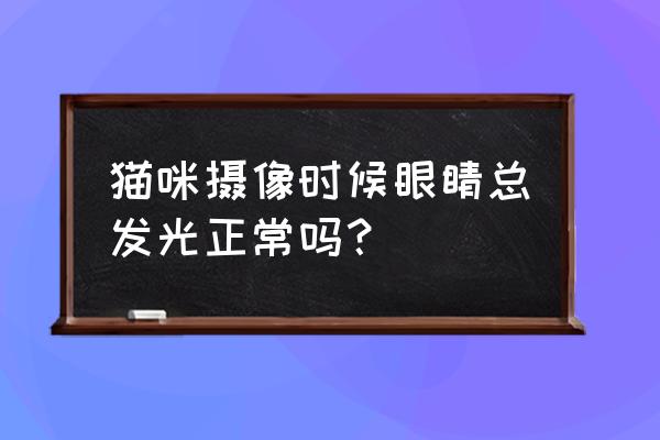 猫咪眼睛看世界是什么样子的 猫咪摄像时候眼睛总发光正常吗？