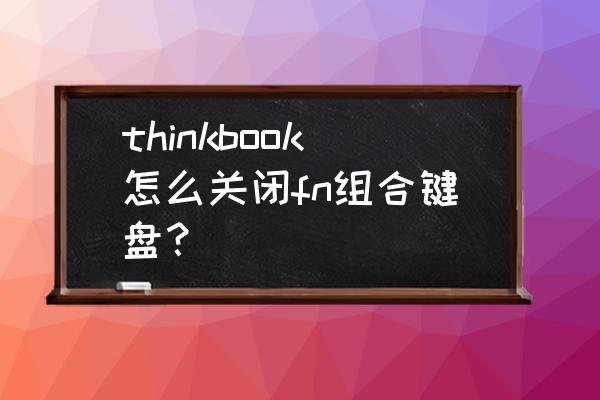 笔记本自带键盘怎么禁用和恢复 thinkbook怎么关闭fn组合键盘？