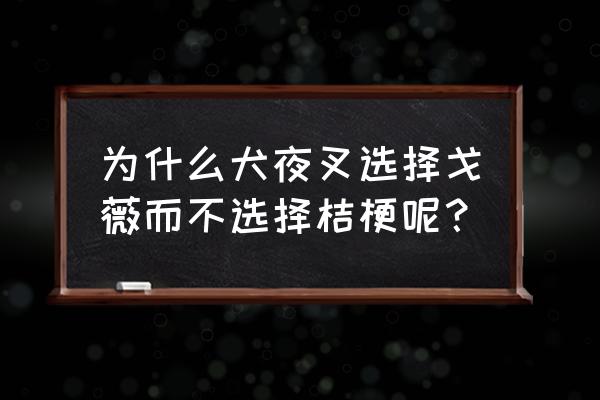 犬夜叉更喜欢桔梗还是戈薇 为什么犬夜叉选择戈薇而不选择桔梗呢？