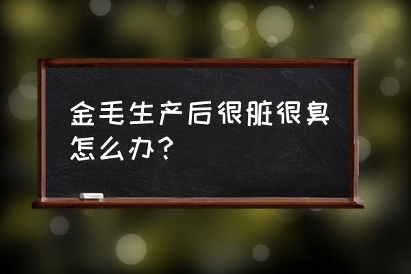 自制金毛狗窝教程 金毛生产后很脏很臭怎么办？