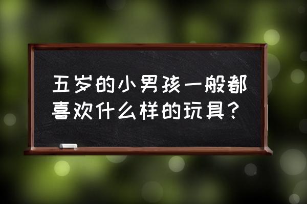 复杂性的益智玩具 五岁的小男孩一般都喜欢什么样的玩具？