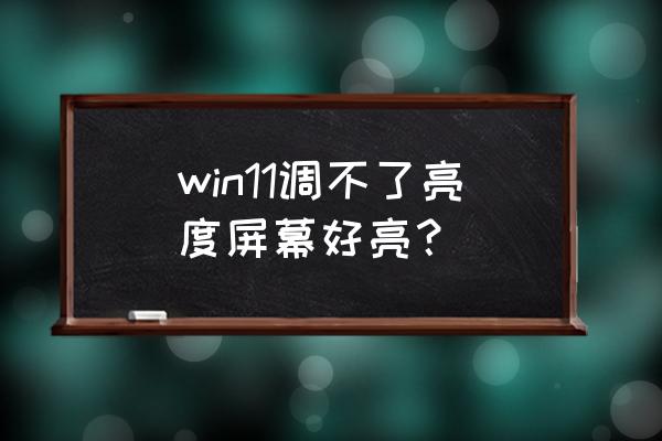 电脑打开亮度很低调节亮度没反应 win11调不了亮度屏幕好亮？