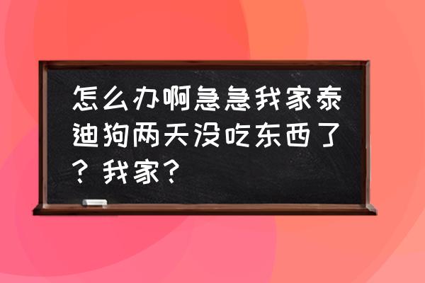 泰迪饿几天才能改掉挑食的坏毛病 怎么办啊急急我家泰迪狗两天没吃东西了？我家？